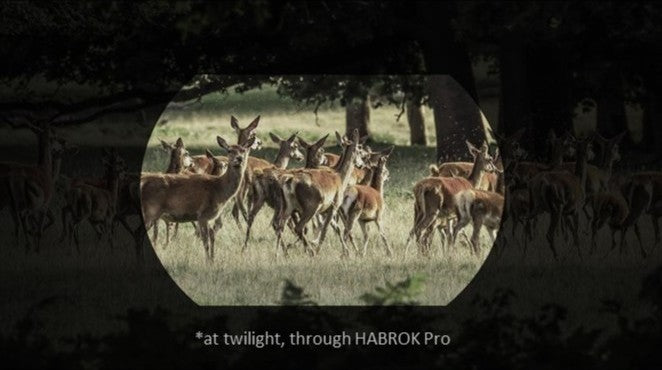 Unbeatable Low-Light Performance with 4K UHD Detector