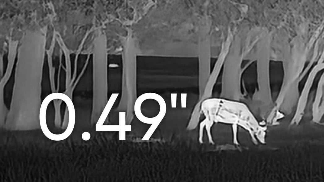 0.49 inch AMOLED Display: Premium Visuals