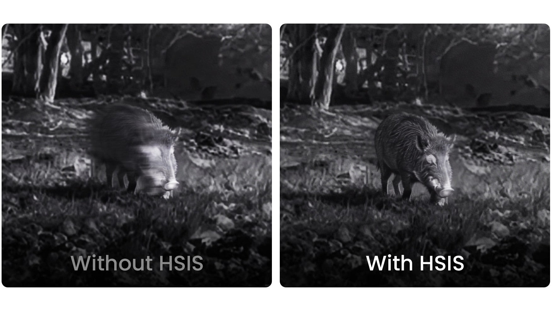 HSIS: Stay Focused with Smooth Visuals