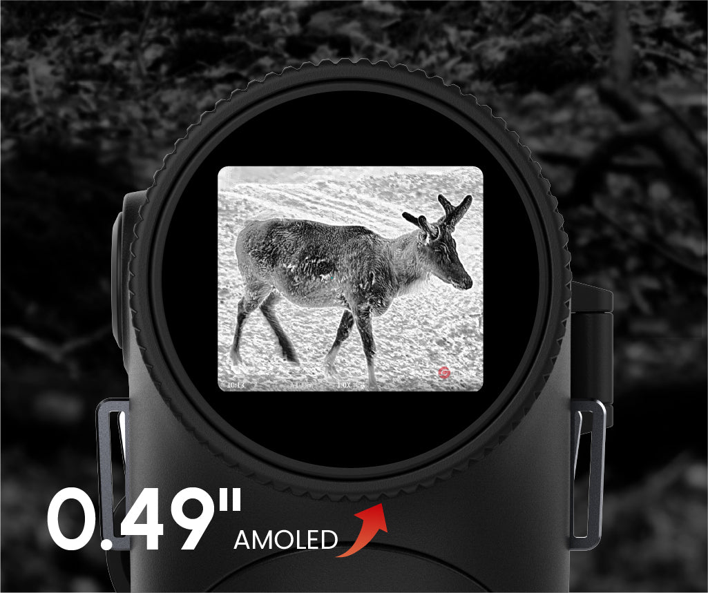 Large AMOLED Display for Upgraded Visuals