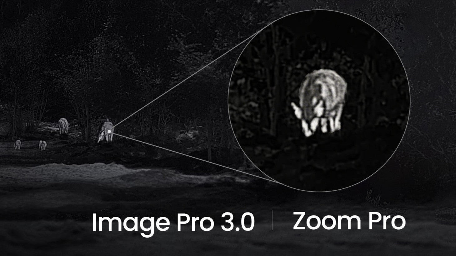 Image Pro 3.0 and Zoom Pro